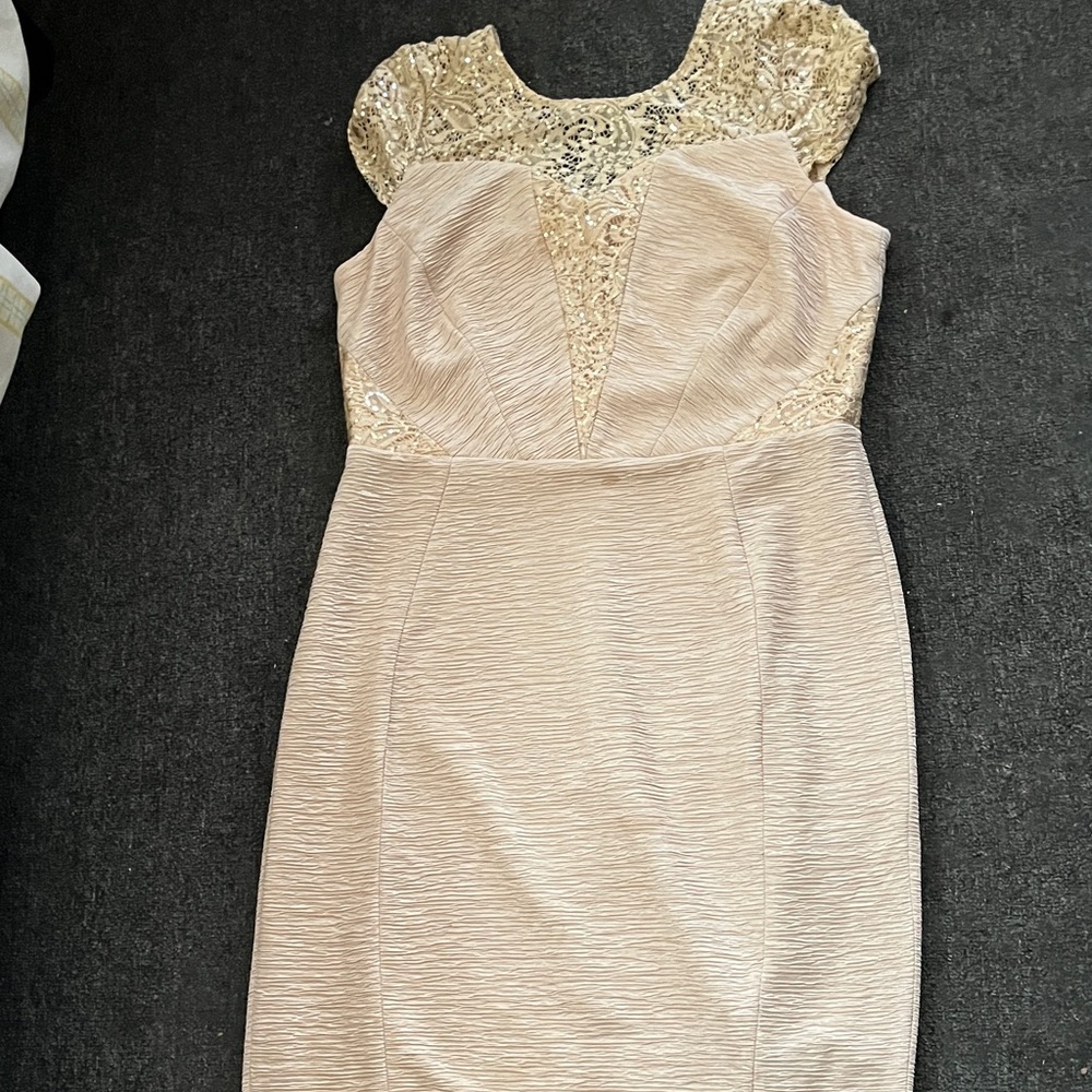 Elegant Lace-Trim Sheath Dress in Blush Cream